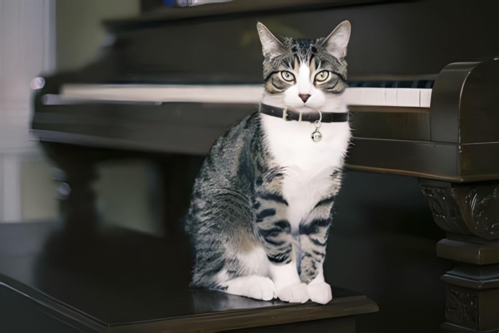 Pink Leather Cat Collar with Bell Y846