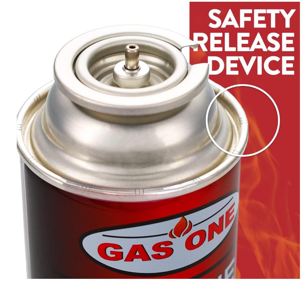 Butane Fuel Canisters 12 Count R445