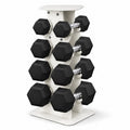 100 lb Rubber Hex Dumbbell Set with Rack M398066