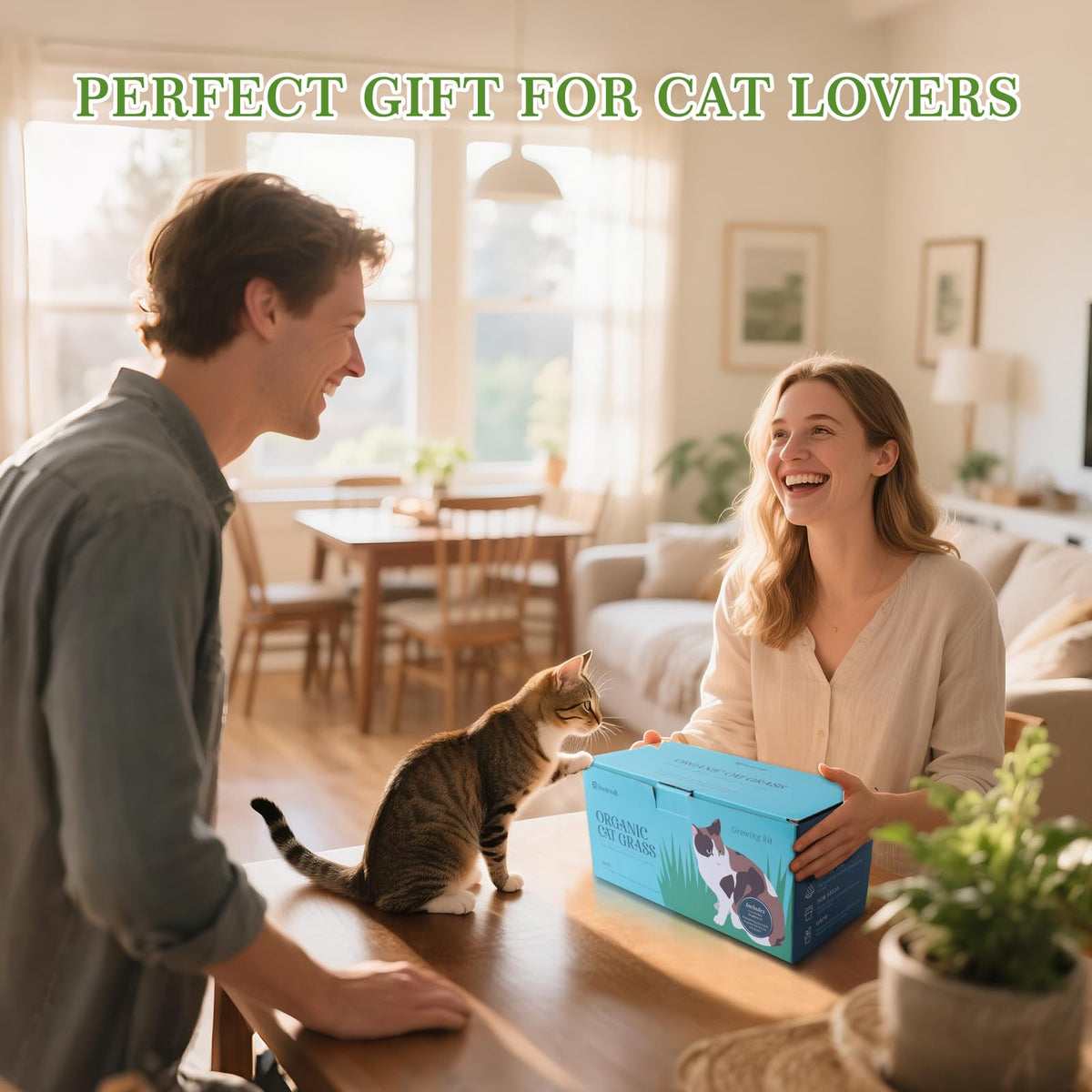 5-Pack Cat Grass Kit with Wood Planter N168332