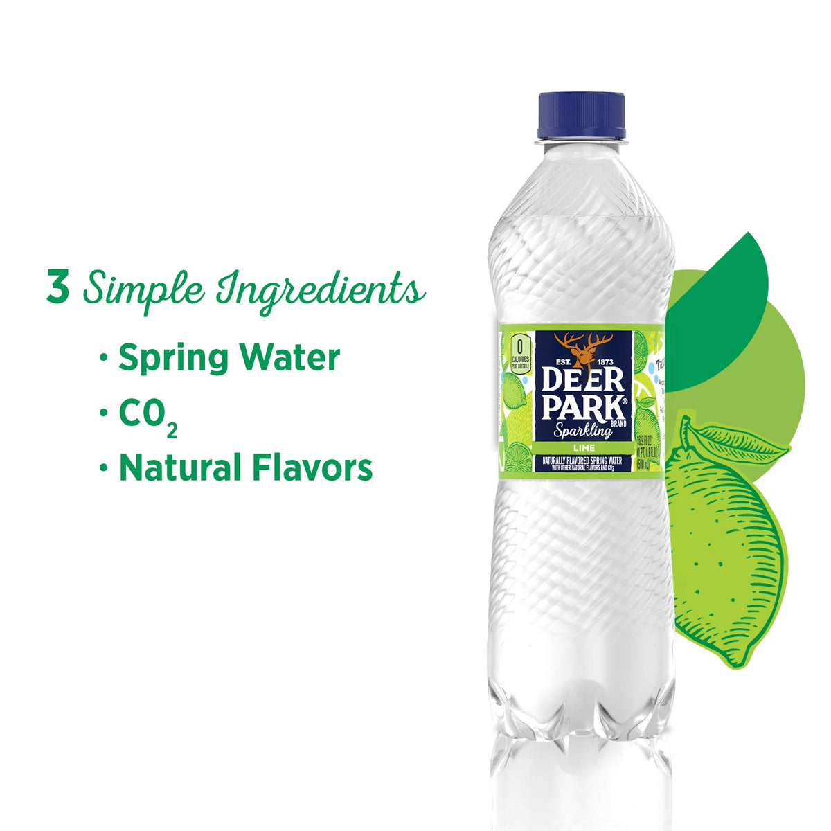 Sparkling Water Zesty Lime 16.9 Fl Oz (Pack of 8) T121