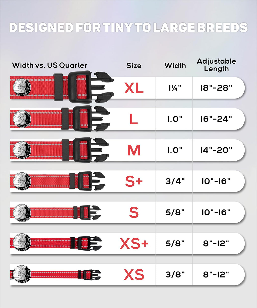 Reflective Small Dog Collar K965