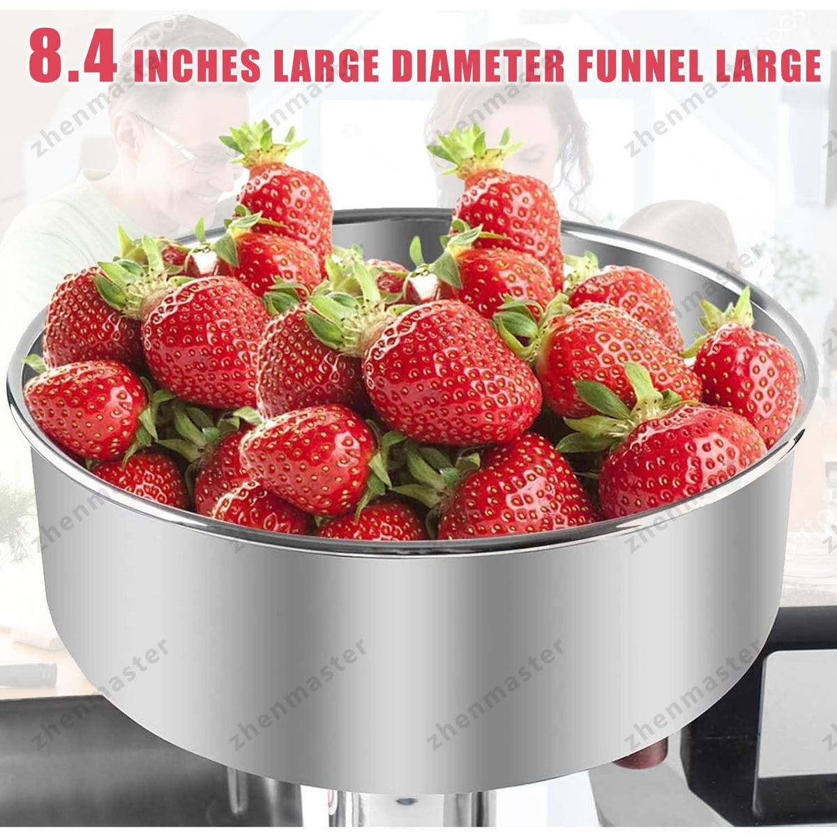 450W Stainless Steel Tomato Strainer I92822