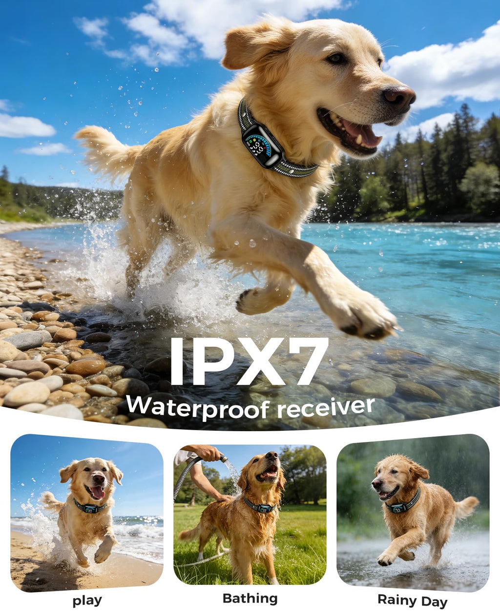 2-in-1 Dog Shock Collar & Dog Bark Collar Y120772