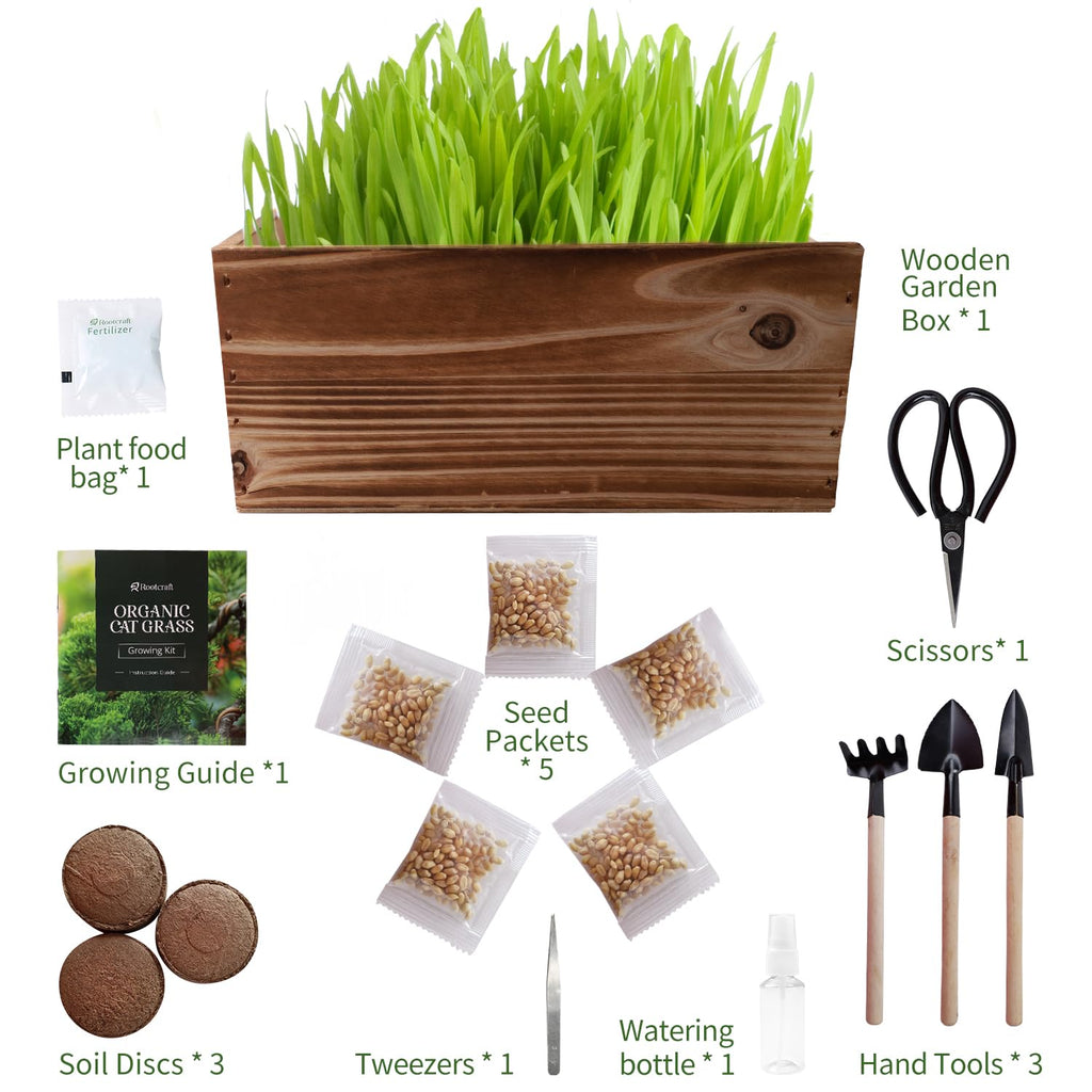 5-Pack Cat Grass Kit with Wood Planter N168332