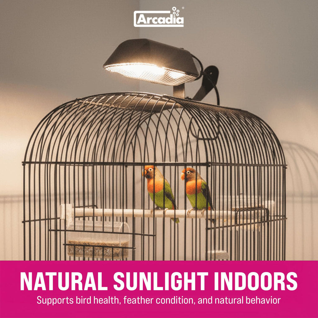 Compact Bird Lighting Kit 20 Watts 2.4% UVB Full Spectrum Light Fixture X518812