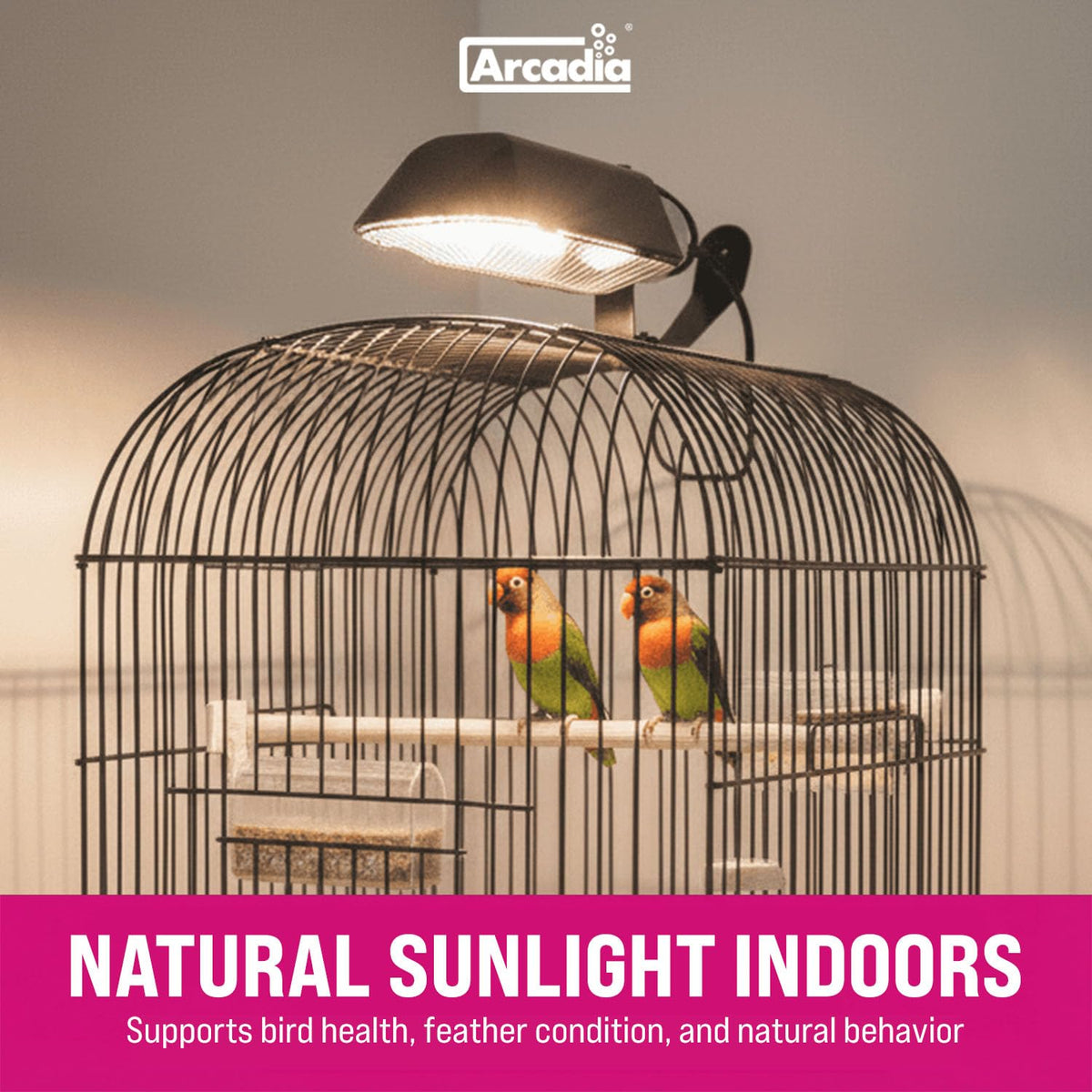 Compact Bird Lighting Kit 20 Watts 2.4% UVB Full Spectrum Light Fixture X518812