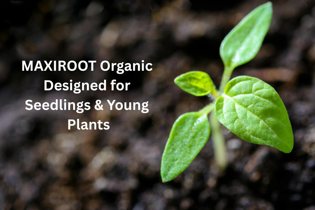 Liquid Fertilizer for Seedlings, Cuttings & Clones, 32 oz V4049