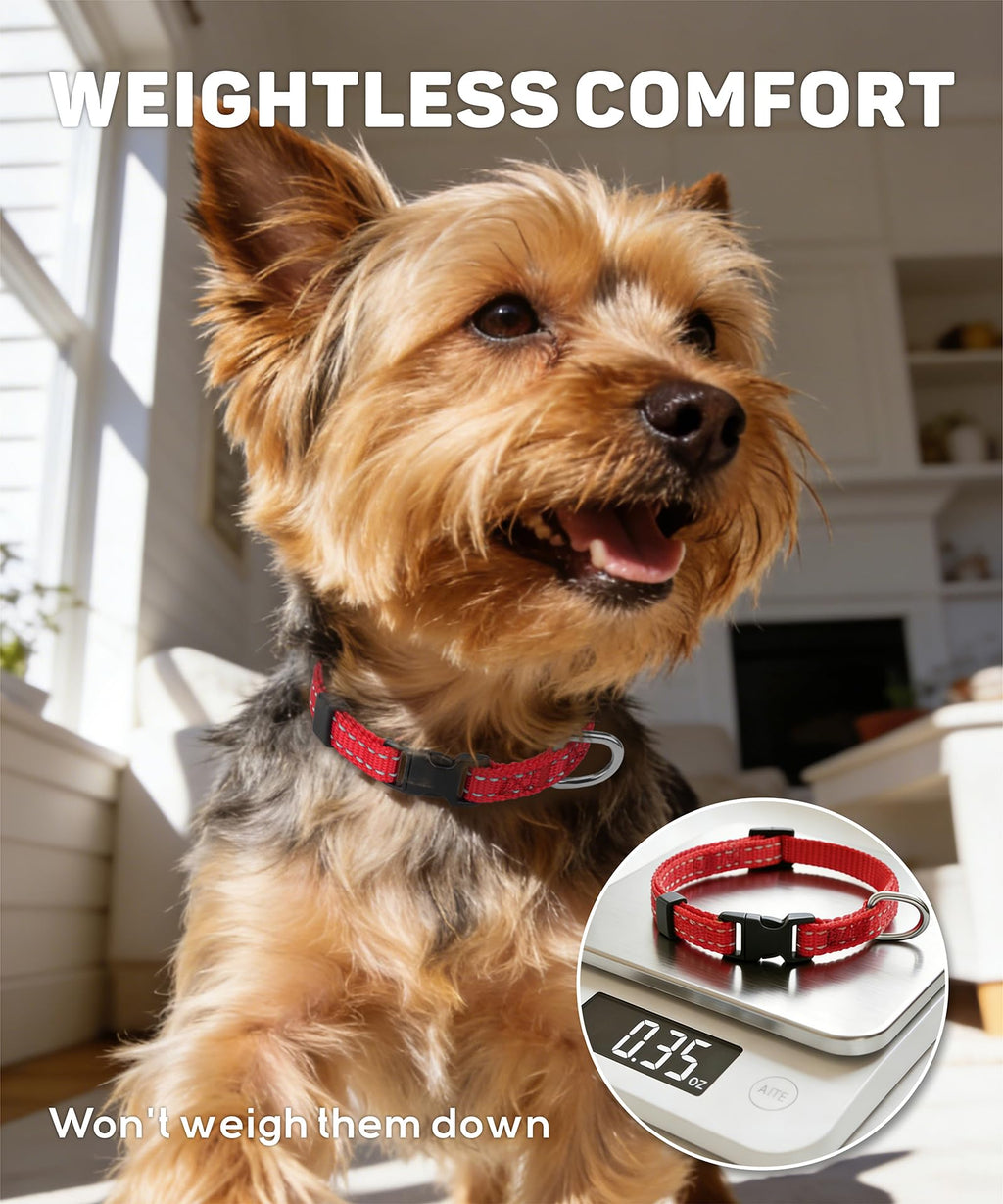 Reflective Small Dog Collar K965