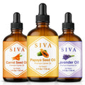Glass Bottles with Droppers 4 Fl oz A6540