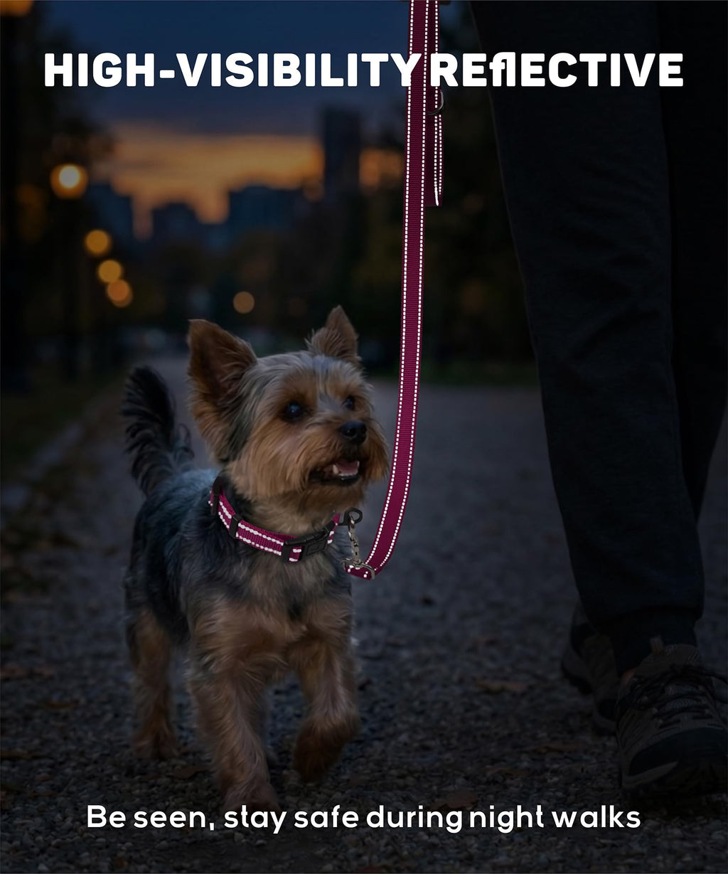 Reflective Small Dog Collar K965