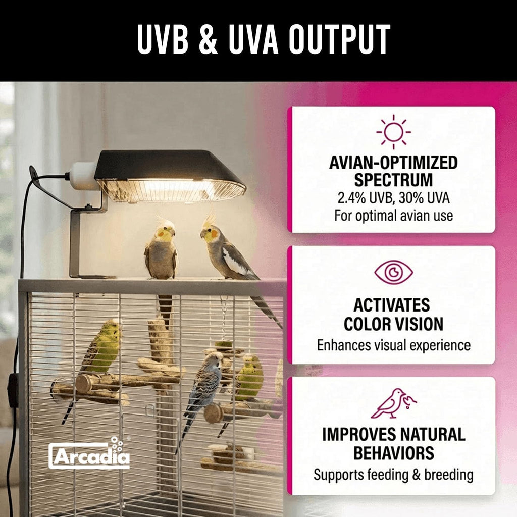 Compact Bird Lighting Kit 20 Watts 2.4% UVB Full Spectrum Light Fixture X518812