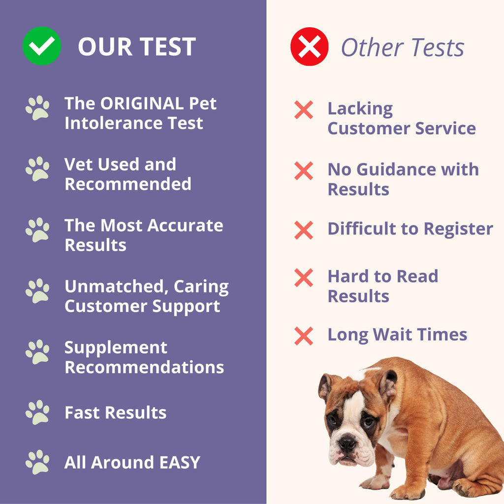 Pet Intolerance Test Dogs & Cats Y736