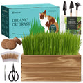 5-Pack Cat Grass Kit with Wood Planter N168332