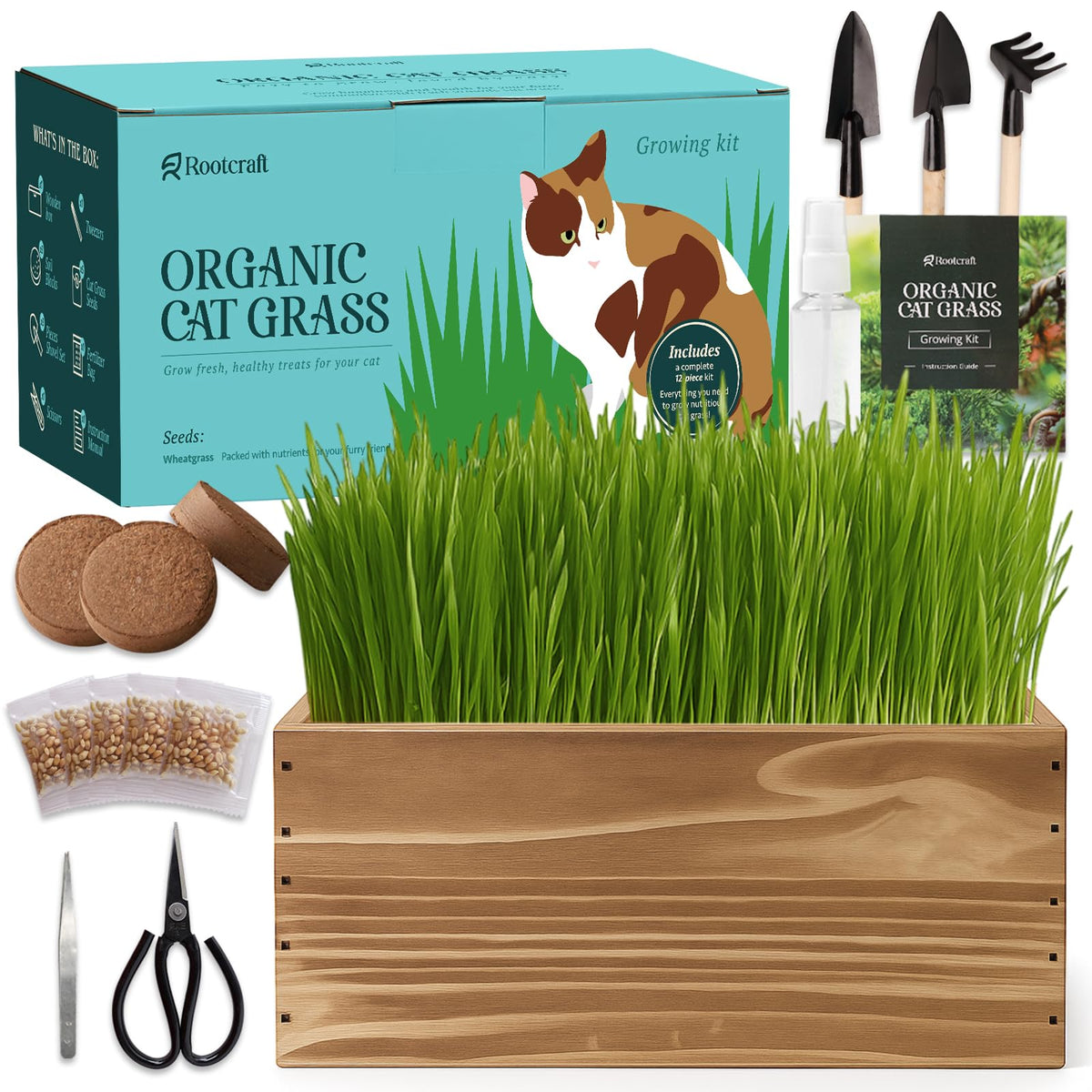 5-Pack Cat Grass Kit with Wood Planter N168332