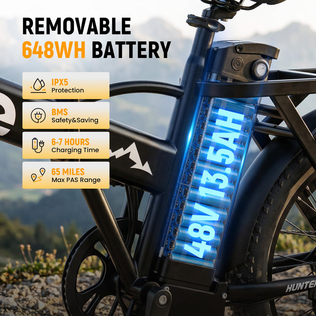 Foldable Electric Bike with 20" Fat Tires Z706