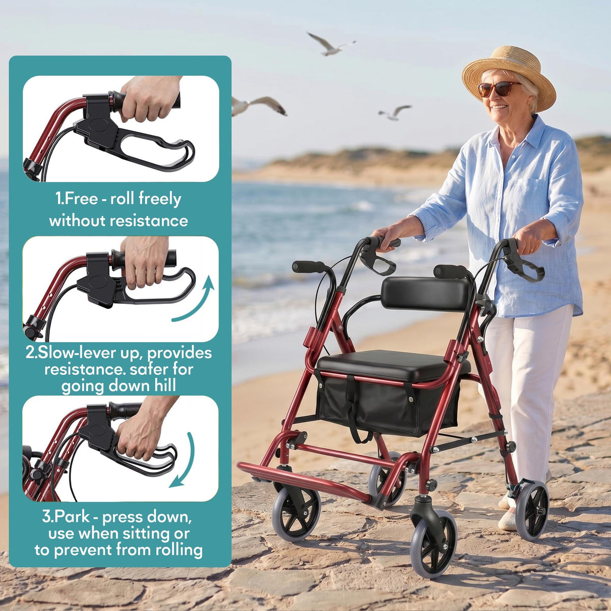 2-in-1 Rollator Walker with Seat L66323
