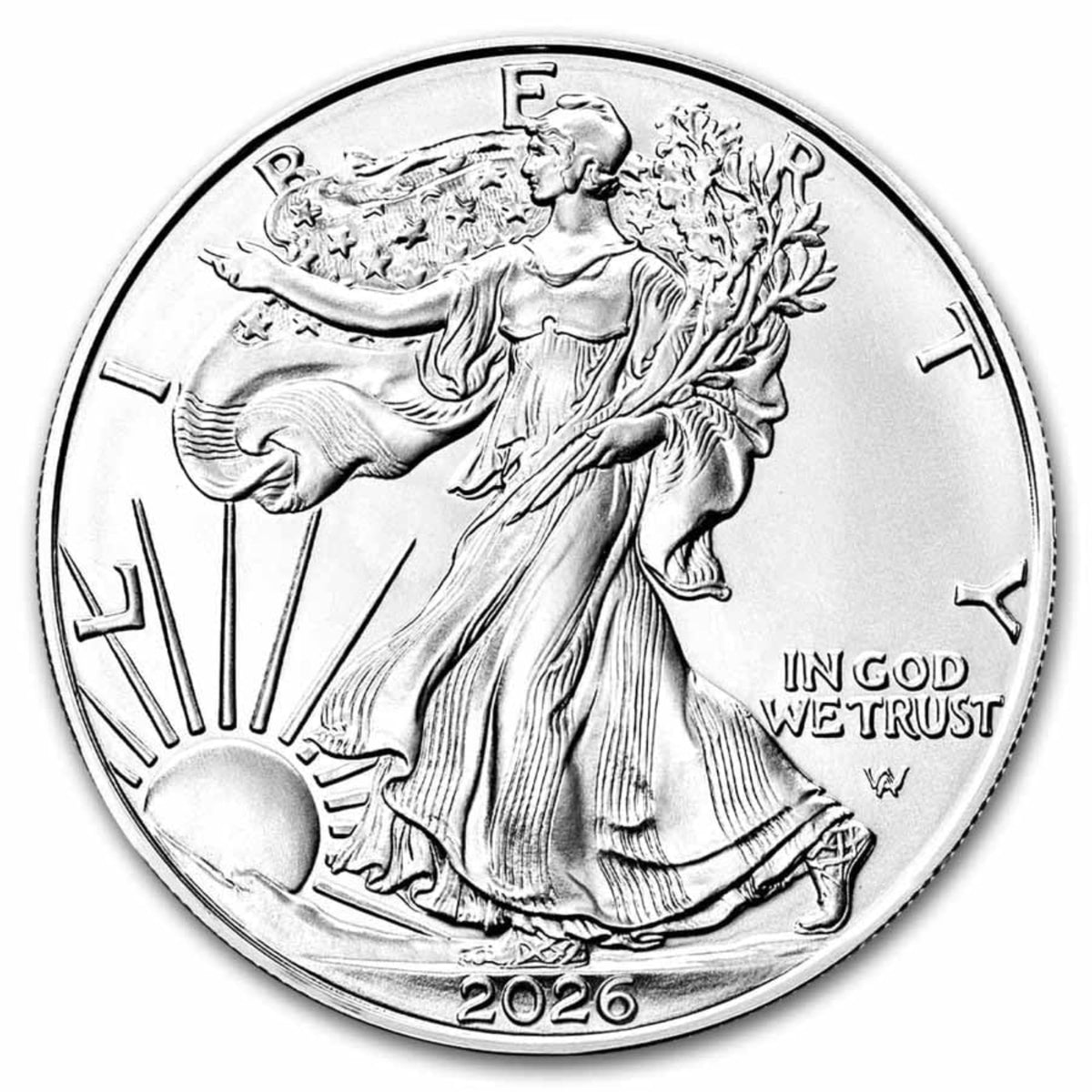 2026 1 oz American Silver Eagle Uncirculated Coin X49049