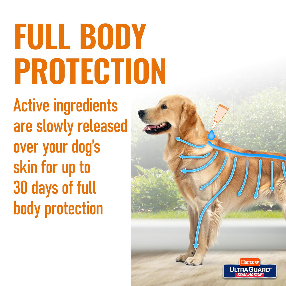 Flea & Tick Treatment for Dogs and Puppies 31-60lbs 3 Monthly Treatments G831303