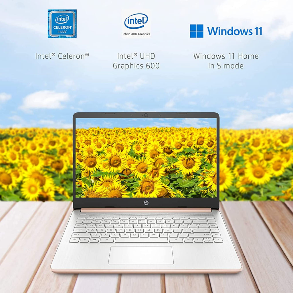 14'' HD Laptop Intel Celeron 4GB 64GB eMMC Pink Gold F455