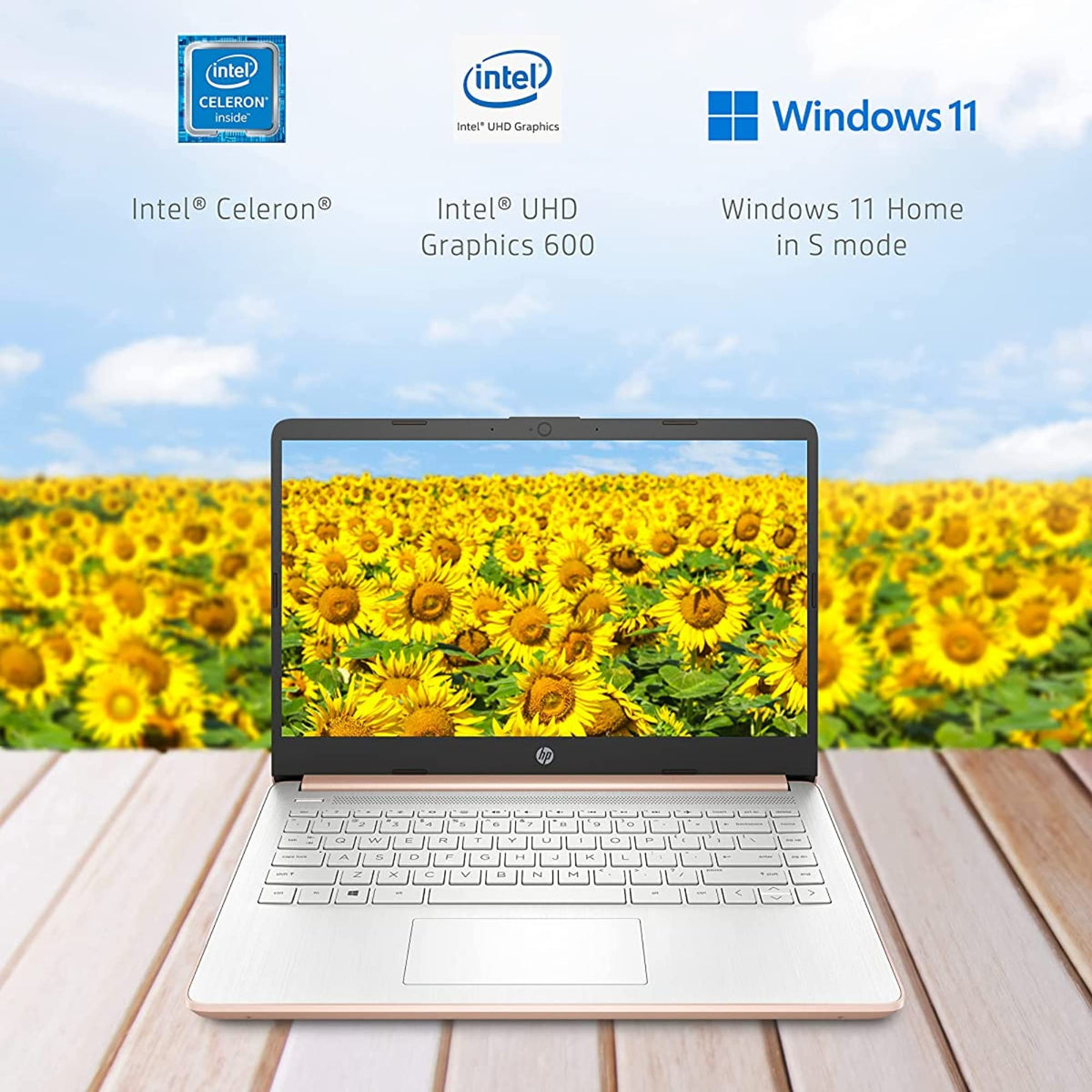 14'' HD Laptop Intel Celeron 4GB 64GB eMMC Pink Gold F455