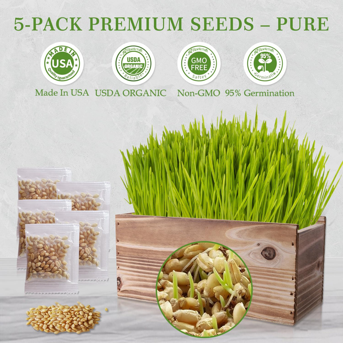 5-Pack Cat Grass Kit with Wood Planter N168332