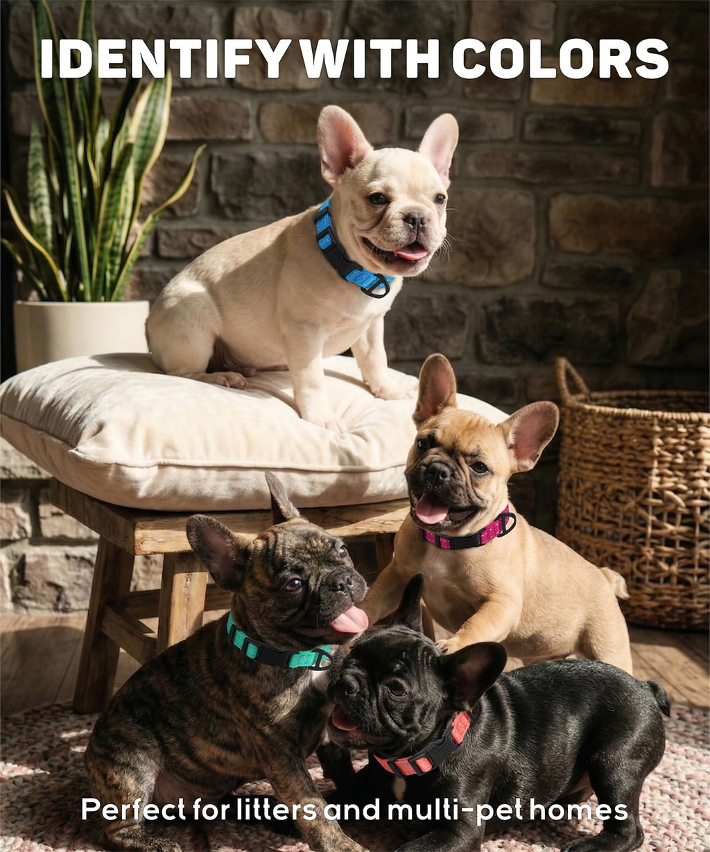 Reflective Small Dog Collar K965