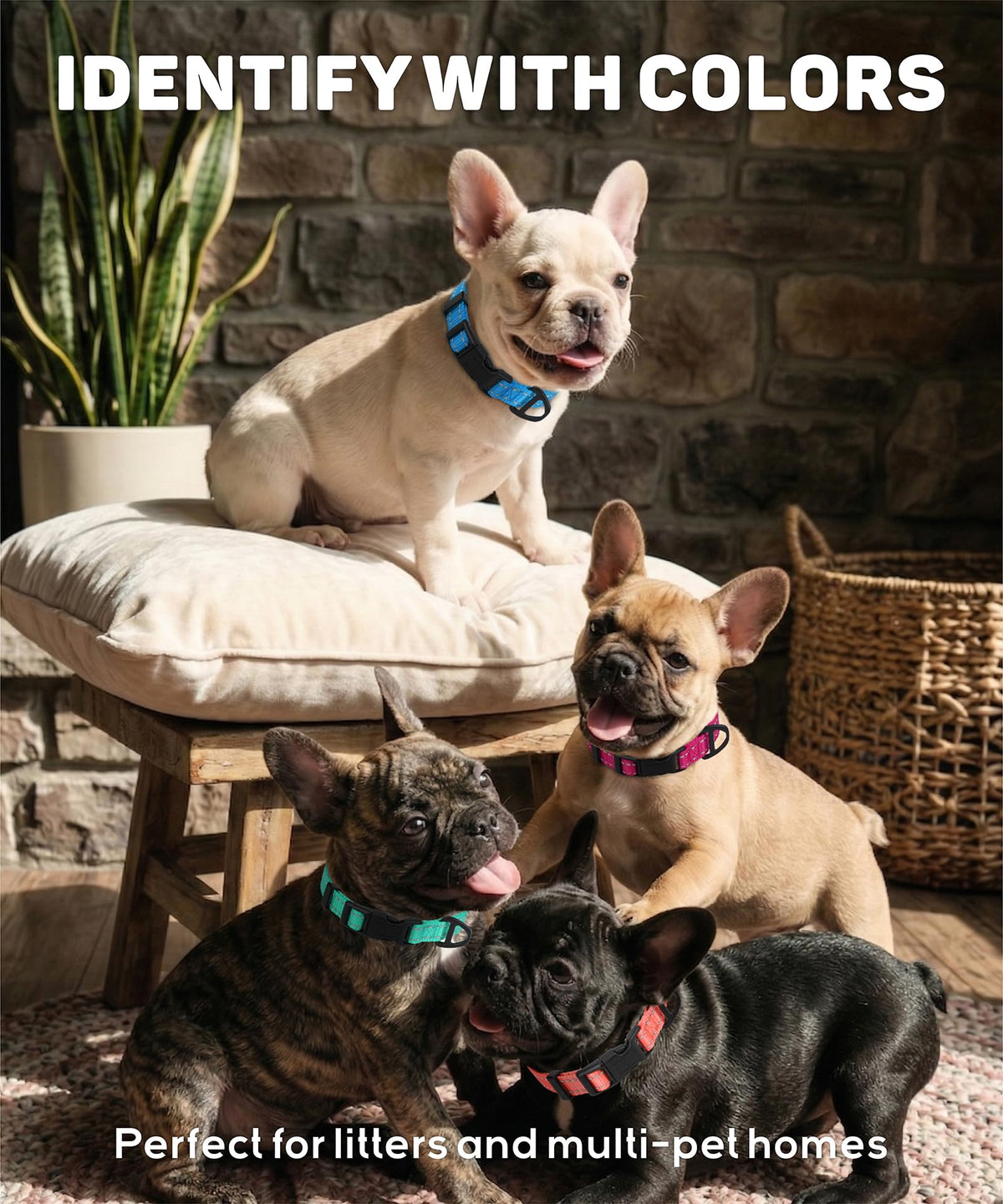 Reflective Small Dog Collar K965