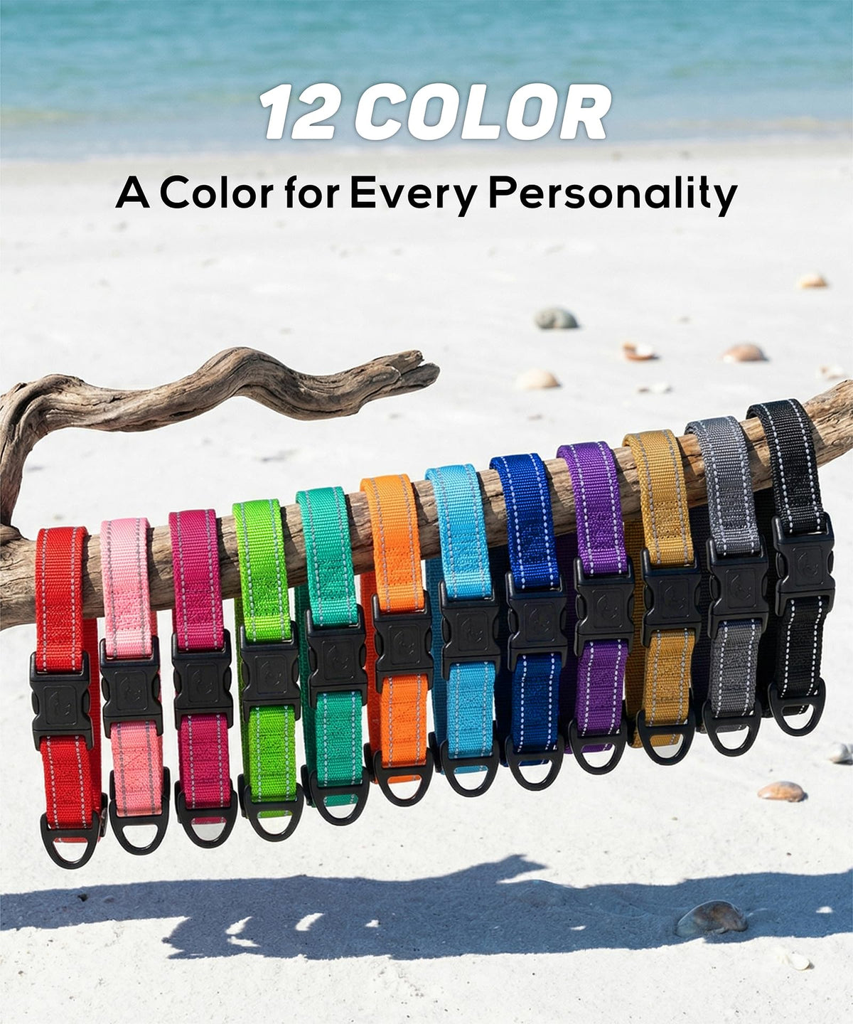Reflective Small Dog Collar K965