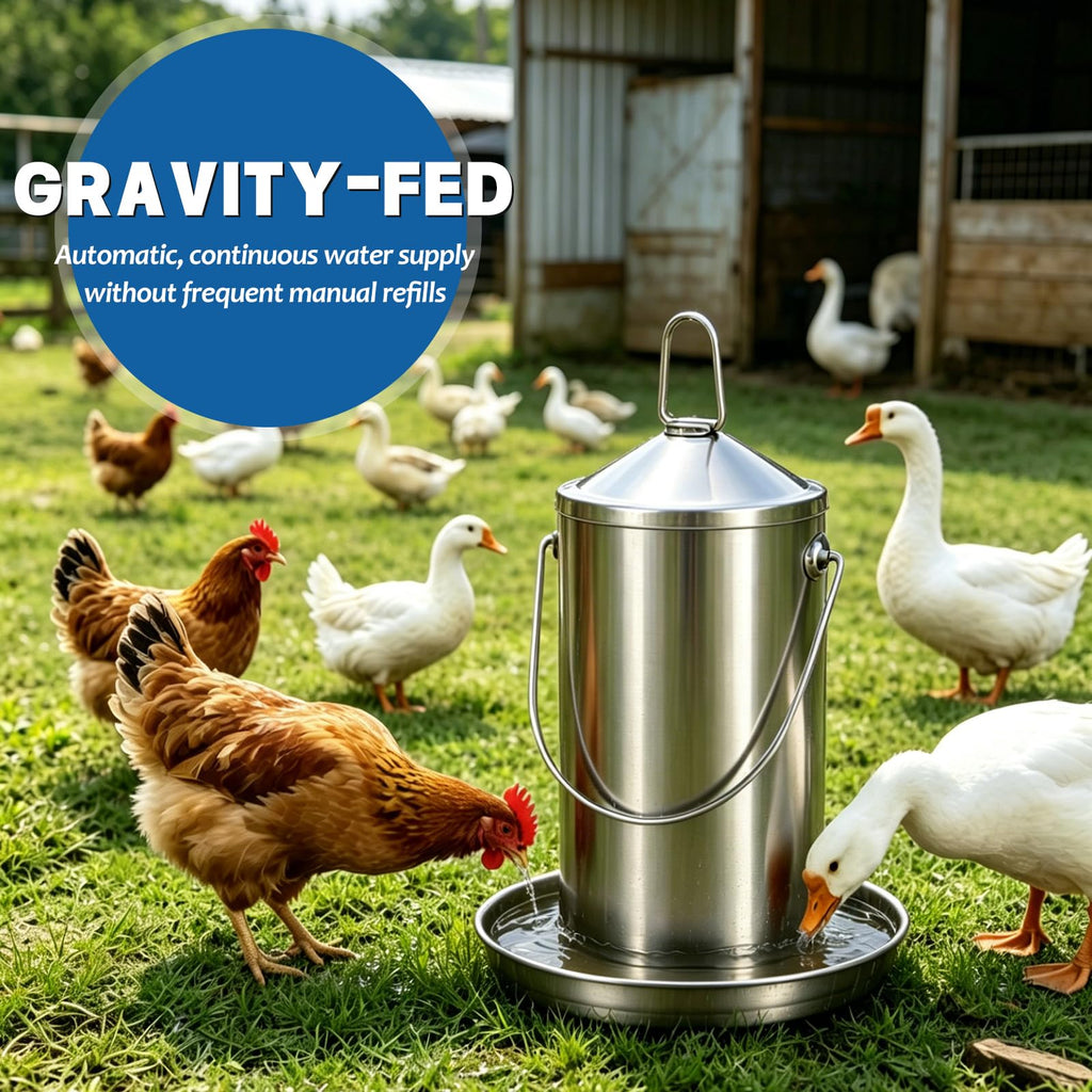 Stainless Steel Chicken Waterer N29615