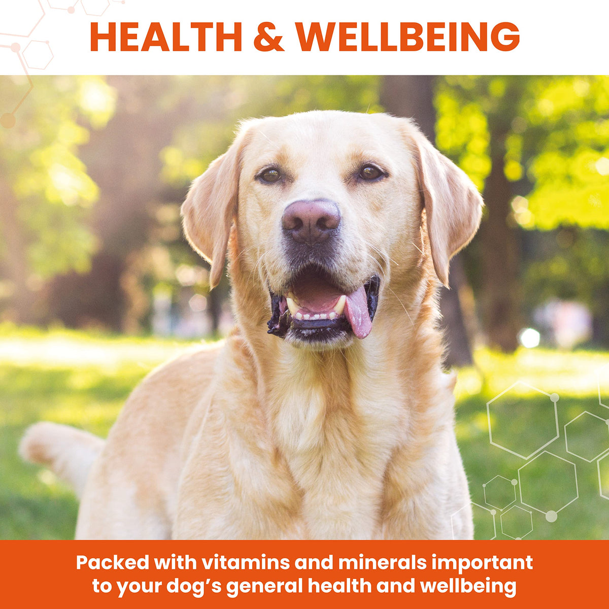 Dog Conditioner 30 Tablets Y866447